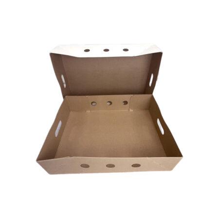 Chicken Fillet Box 10kg