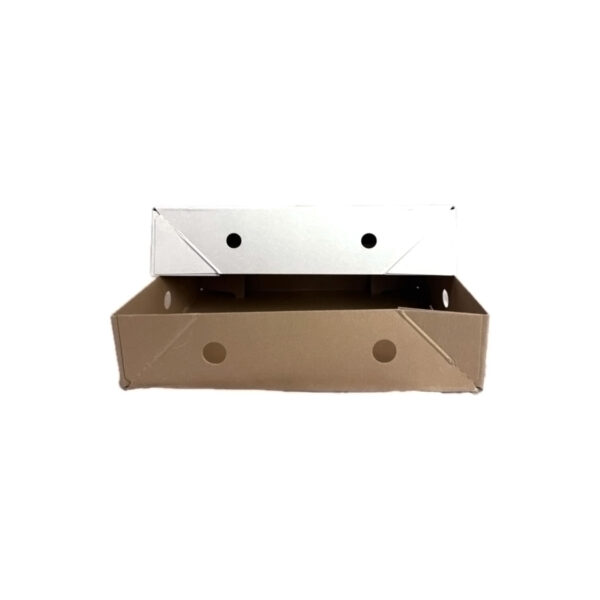Chicken Fillet Box 5kg - Image 2