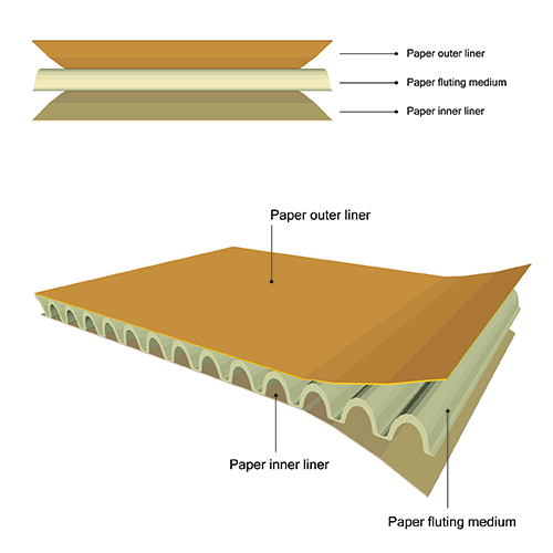 Cardboard and Corrugated Cardboard Advanced Packaging